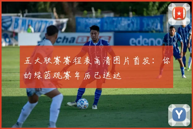 五大联赛赛程表高清图片首发:你的绿茵观赛年历已送达