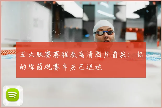 五大联赛赛程表高清图片首发：你的绿茵观赛年历已送达